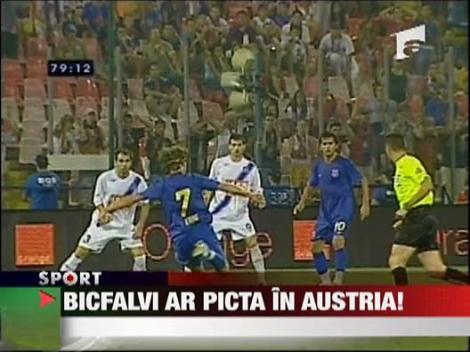 Bicfalvi ar picta in Austria