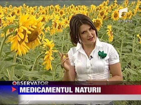 Mierea, medicamentul naturii