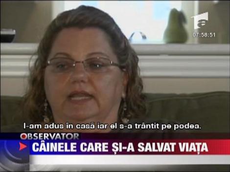 Cainele care si-a salvat viata