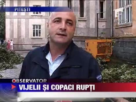 O vijelie de cateva minute a facut prapad in Pitesti!