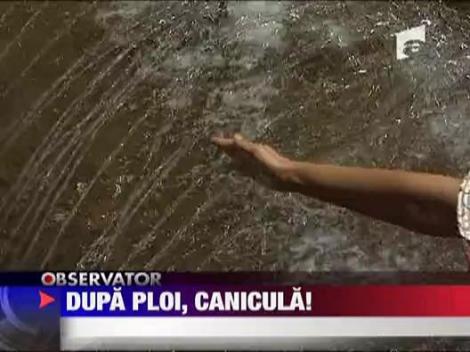 Dupa ploi,canicula!