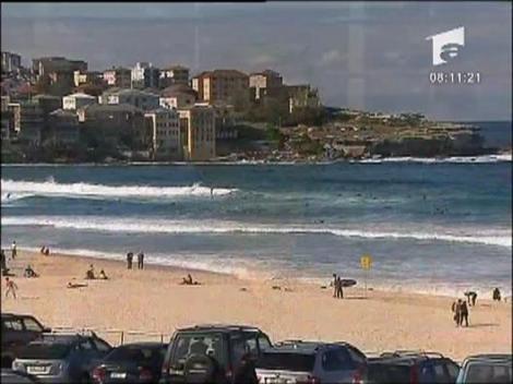 Patinoar pe malul Marii