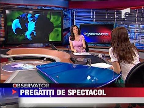 The Cranberries, pregatiti de concert