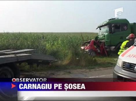 Carnagiu pe o sosea din judetul Arad