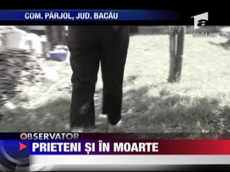 Tovarasi de sinucidere