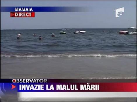 Invazie la malul marii