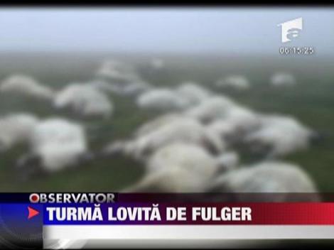 Turma de oi lovita de fulger