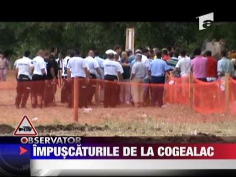 Impuscaturile de la Cogealac