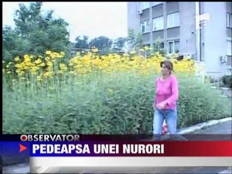 Pedeapsa unei nurori