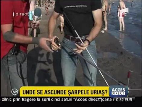 Serpii sunt protejati de lege in Romania