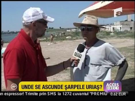 Sarpele urias de la Techirghiol ataca turistii