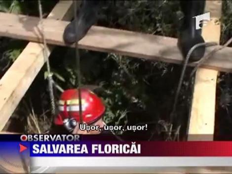 Salvarea vacutei Florica