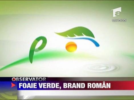 Foaie verde, brand roman
