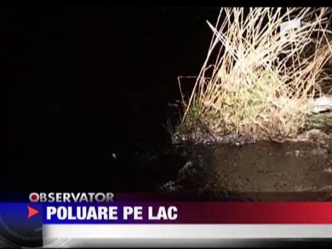 Poluare de la o conducta fisurata in Dambovita