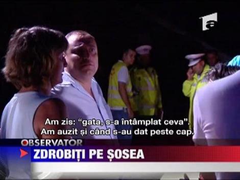 Zdrobiti pe sosea