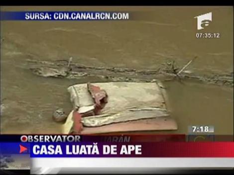 Casa luata de ape in Columbia