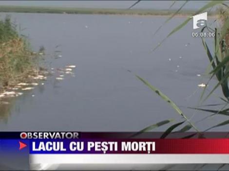 Lacul pestilor morti, in Buzau