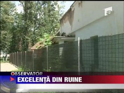 Excelenta din ruine