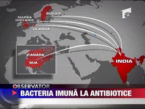 Bacteria imuna la antibiotice
