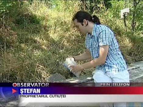 Alerta de gradul 0 pe DN1