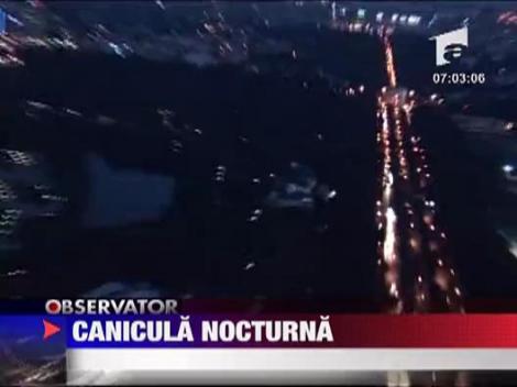 Canicula nocturna