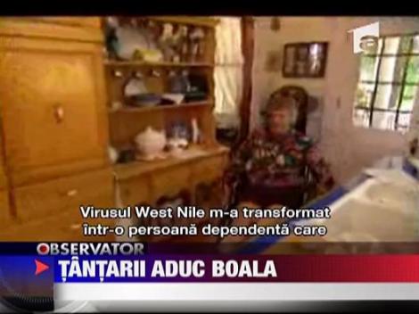 Virusul West Nile a ajuns si in Romania?