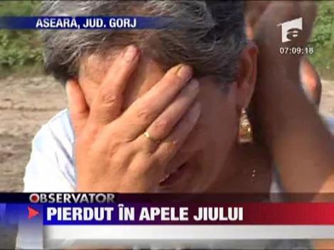 Copil, inecat in apele Jiului