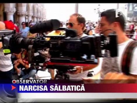 Andrei Aradits vorbeste despre Narcisa salbatica