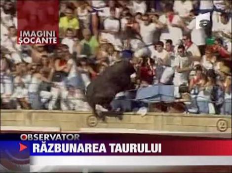 Razbunarea taurului