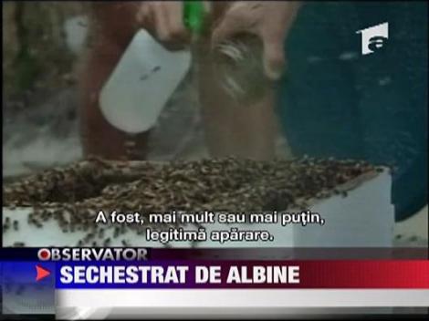 Ajutor de serif, sechestrat de un roi de albine
