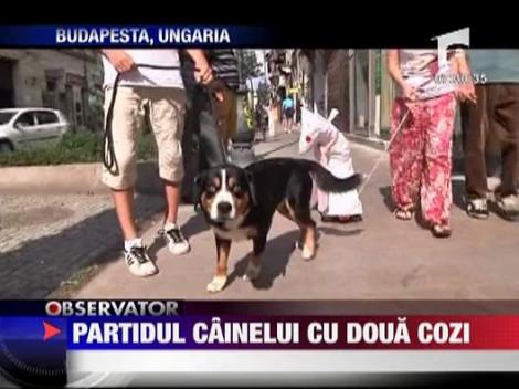 Partidul cainelui cu doua cozi