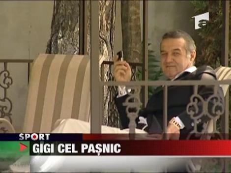 Gigi cel pasnic