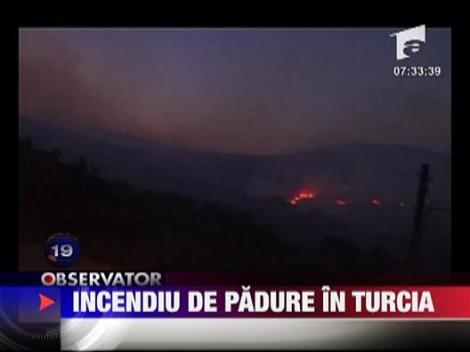 Incendiu de padure in Turcia