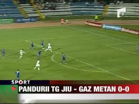 Pandurii Tg Jiu - Gaz Metan Medias 0-0