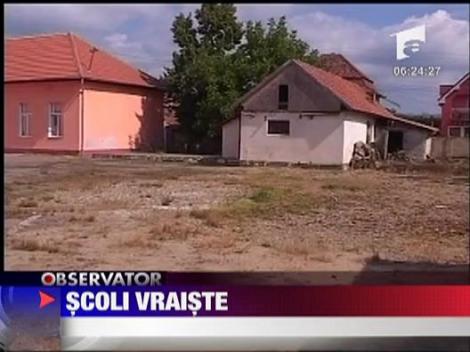 Scoli vraiste