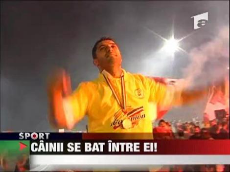 Cainii se bat intre ei