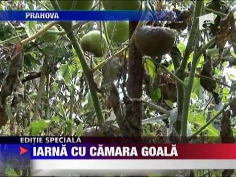 Iarna cu camara goala