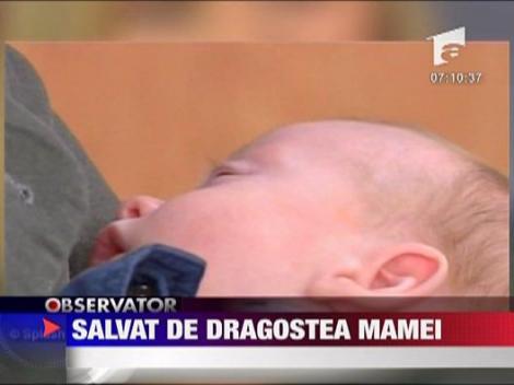 Bebelus salvat de dragostea mamei