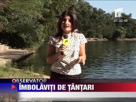 Imbolnaviti de tantari