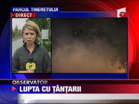 Dezinsectie in parcurile din Bucuresti