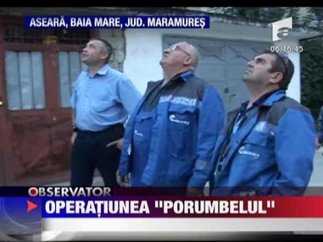 Operatiunea "Porumbelul"