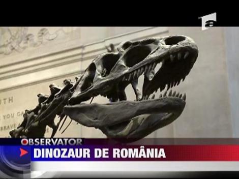 Dinozaur de Romania
