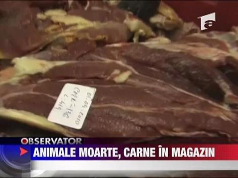 Animale moarte, carne in magazine