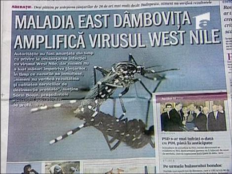 Mircea Badea: “Sa desecam Dambovita sa scapam de tantari”