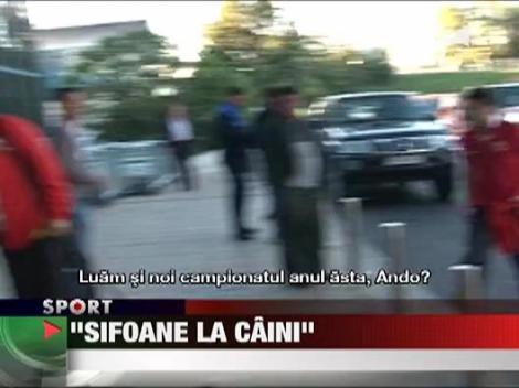 "Sifoane la caini"