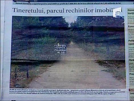 Defrisarea parcului Tineretului