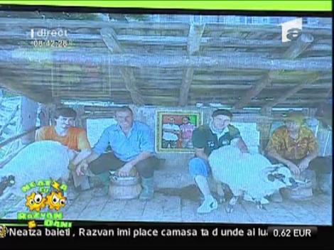 Concursul foto cu Razvan si Dani