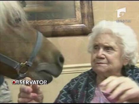 Ponei cu efecte terapeutice