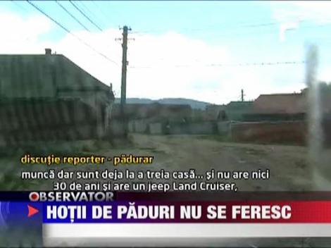 Hotii de paduri nu se feresc