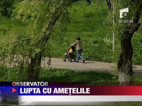 Lupta cu ametelile